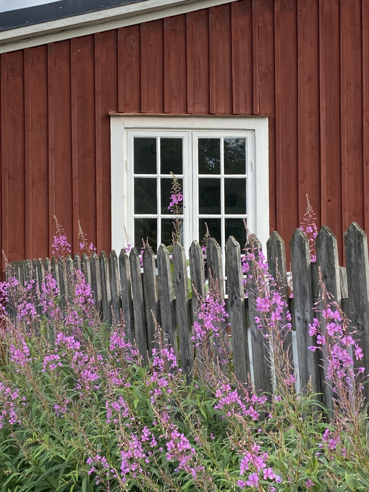 Rotes Schwedenhaus mit Blumen im Vorgarten.