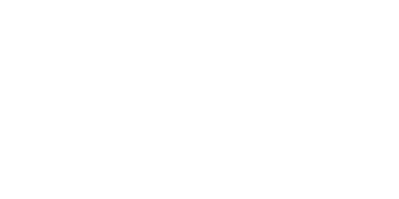 Wieser Internationale Schulberatung logo